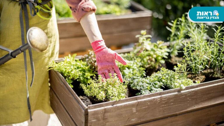 גינון אקולוגי